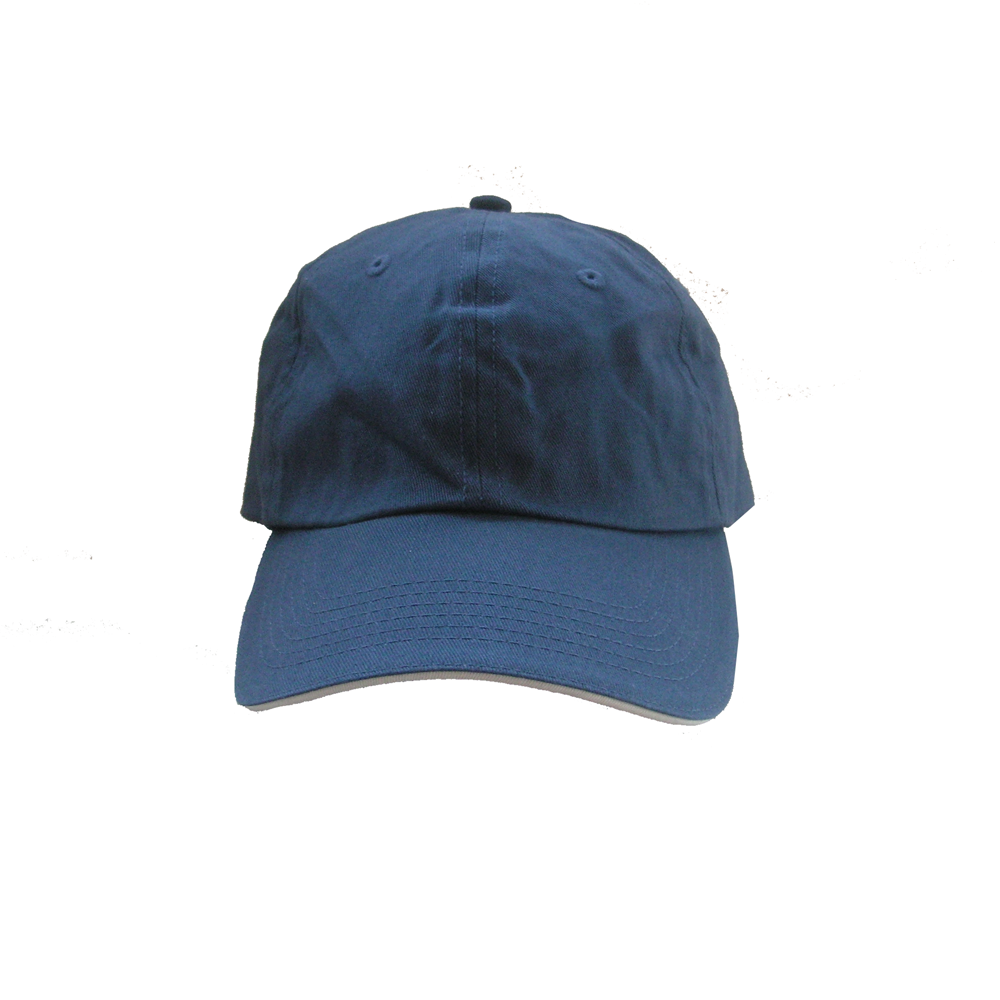 model-1
